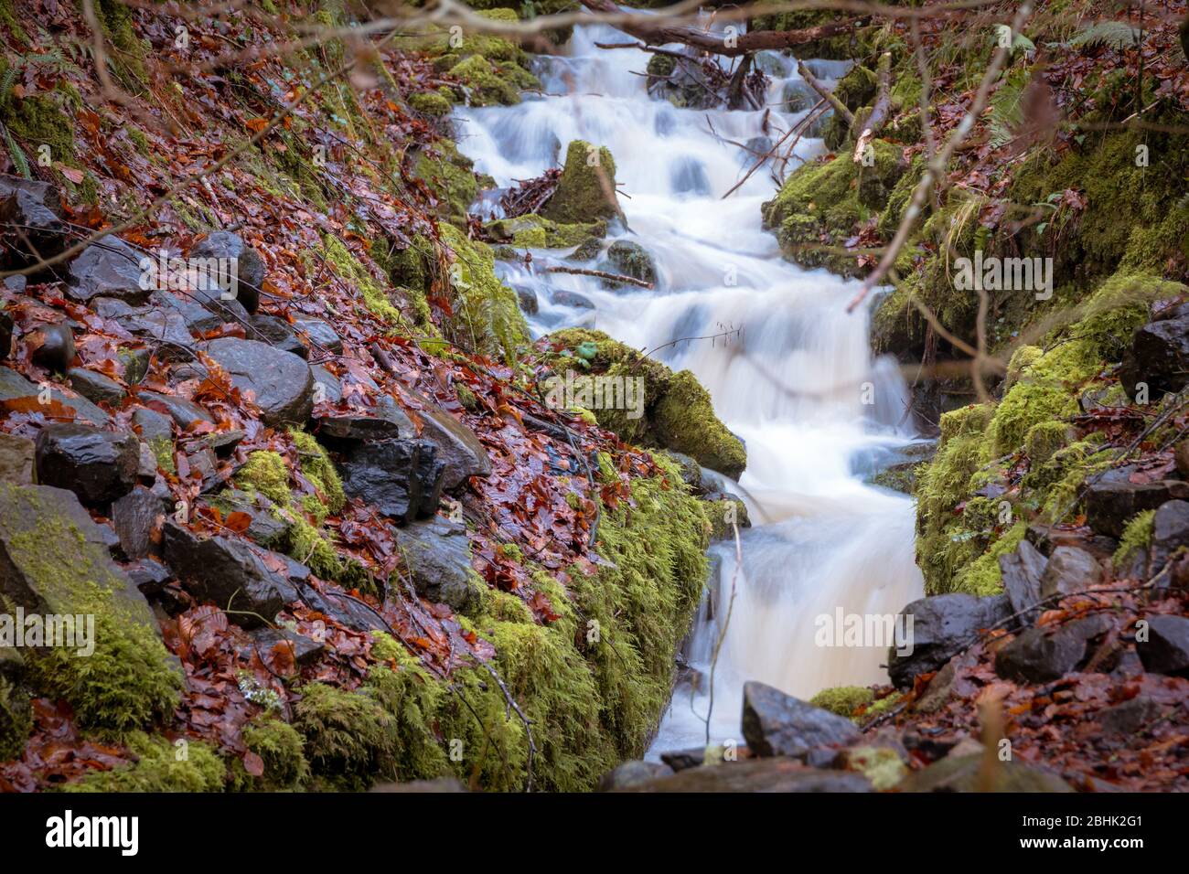 Kleiner Wasserfall in Felsen in einem moosigen Herbstwald. Lange Belichtung. Stockfoto