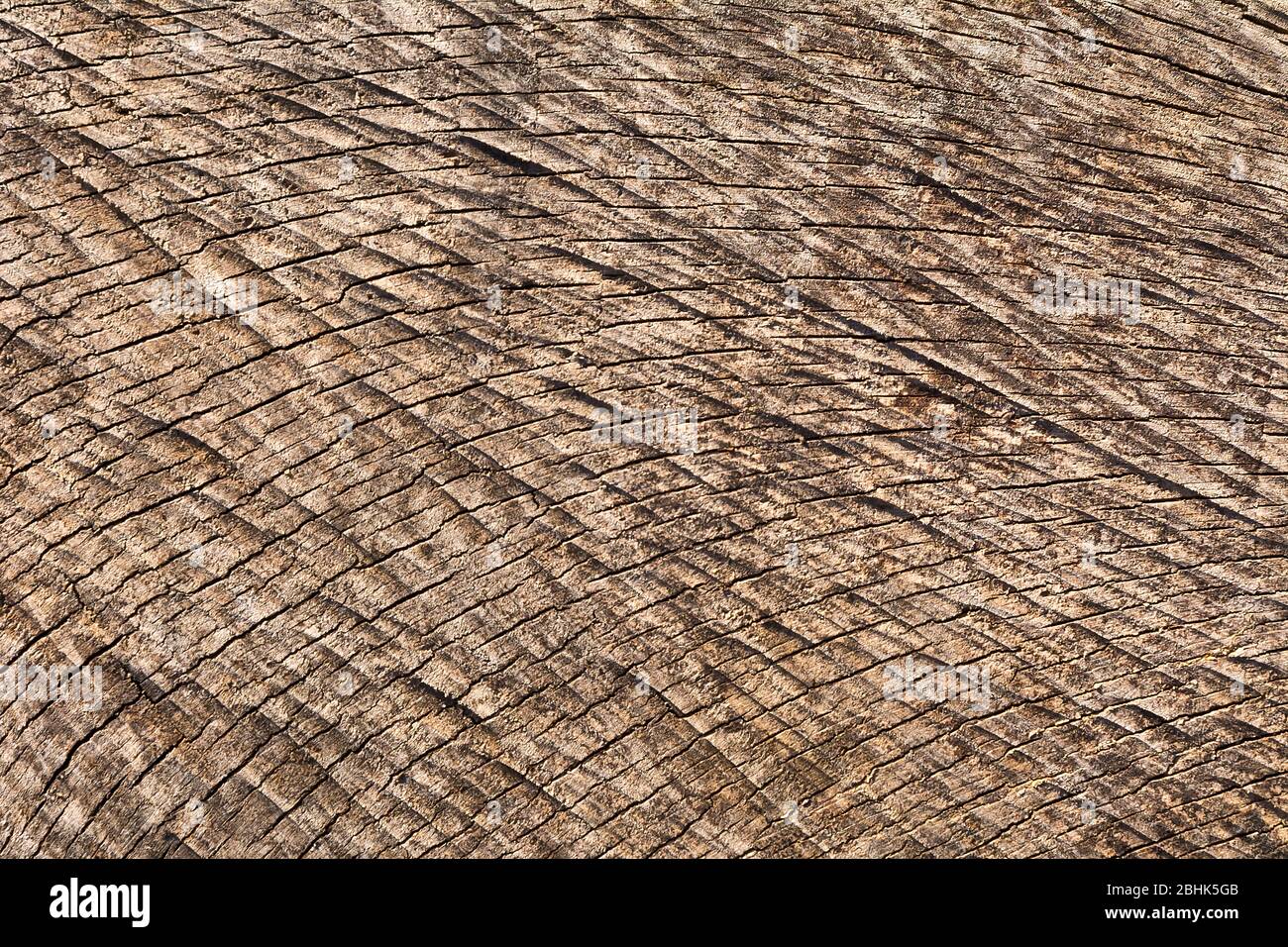 Beschaffenheit der Holzoberfläche Stockfoto