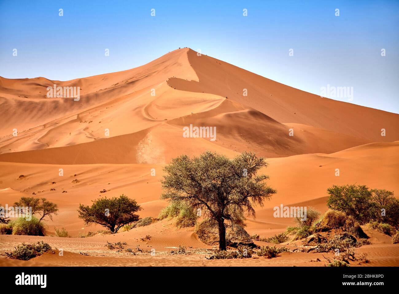 Touristen auf der Big Daddy Dune im Dead Vlei Gebiet des Namib-Naukluft Nationalparks. Stockfoto