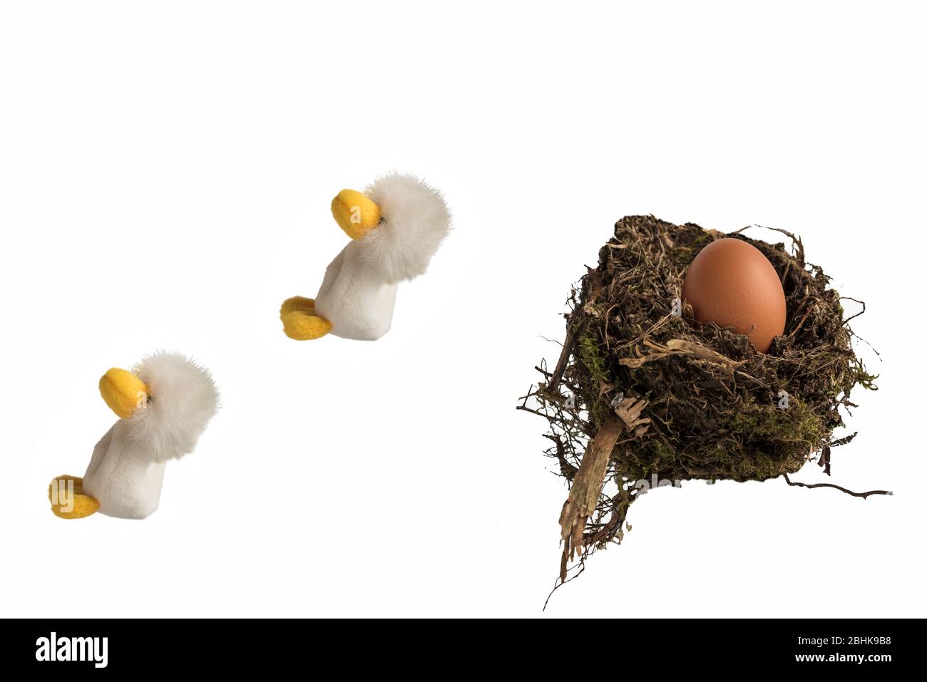 Zwei flauschige Spielzeugküken springen aus einem echten Vogelnest mit einem Hühnereier vor weißem Hintergrund. Konzept; Flucht aus dem Nest, Verlassen des Hauses. Stockfoto