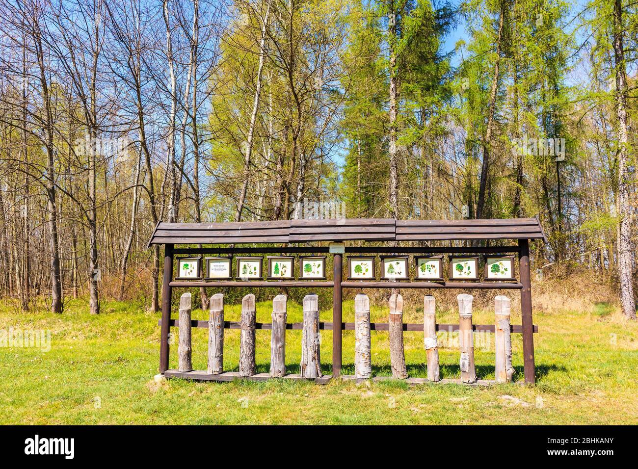 Schilder mit Baumartenbeschreibungen im Rastplatz in Puszcza Niepolomicka in der Nähe von Krakau Stadt, Polen Stockfoto