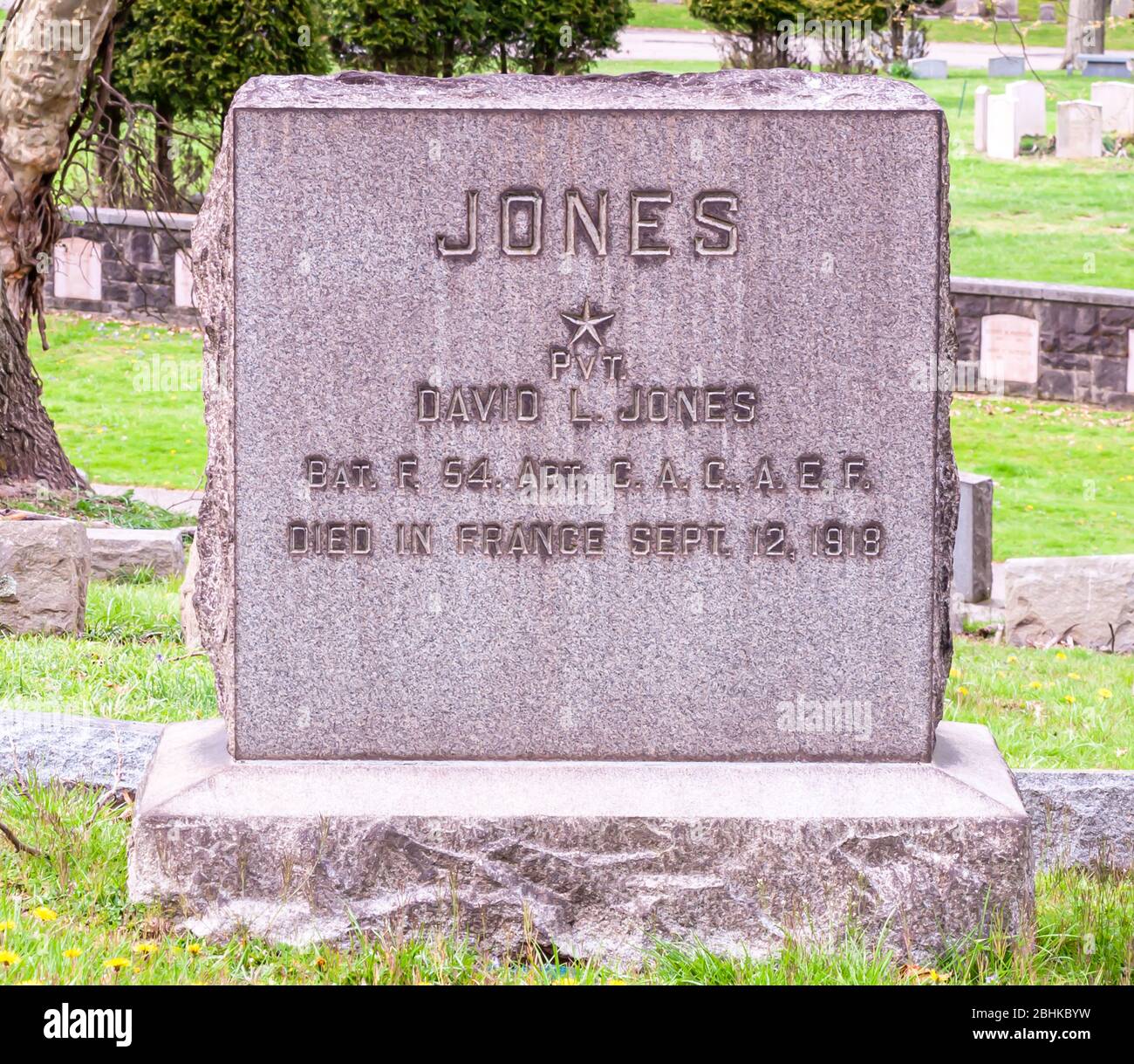 Der Grabstein von David Jones, der 1919 in Frankreich im Kampf um die US-Armee im Ersten Weltkrieg getötet wurde. Homewood Cemetery, PGH, PA, USA Stockfoto
