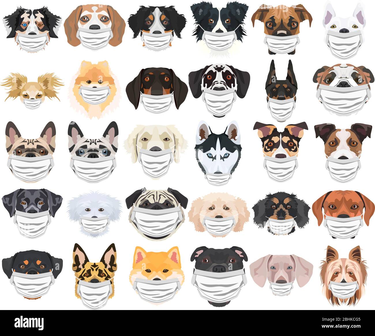 Illustration und Satz von Hunden mit Atemschutzmaske. Zu diesem Zeitpunkt der Pandemie ist das Design eine schöne Grafik für Fans von Hunden. Stock Vektor
