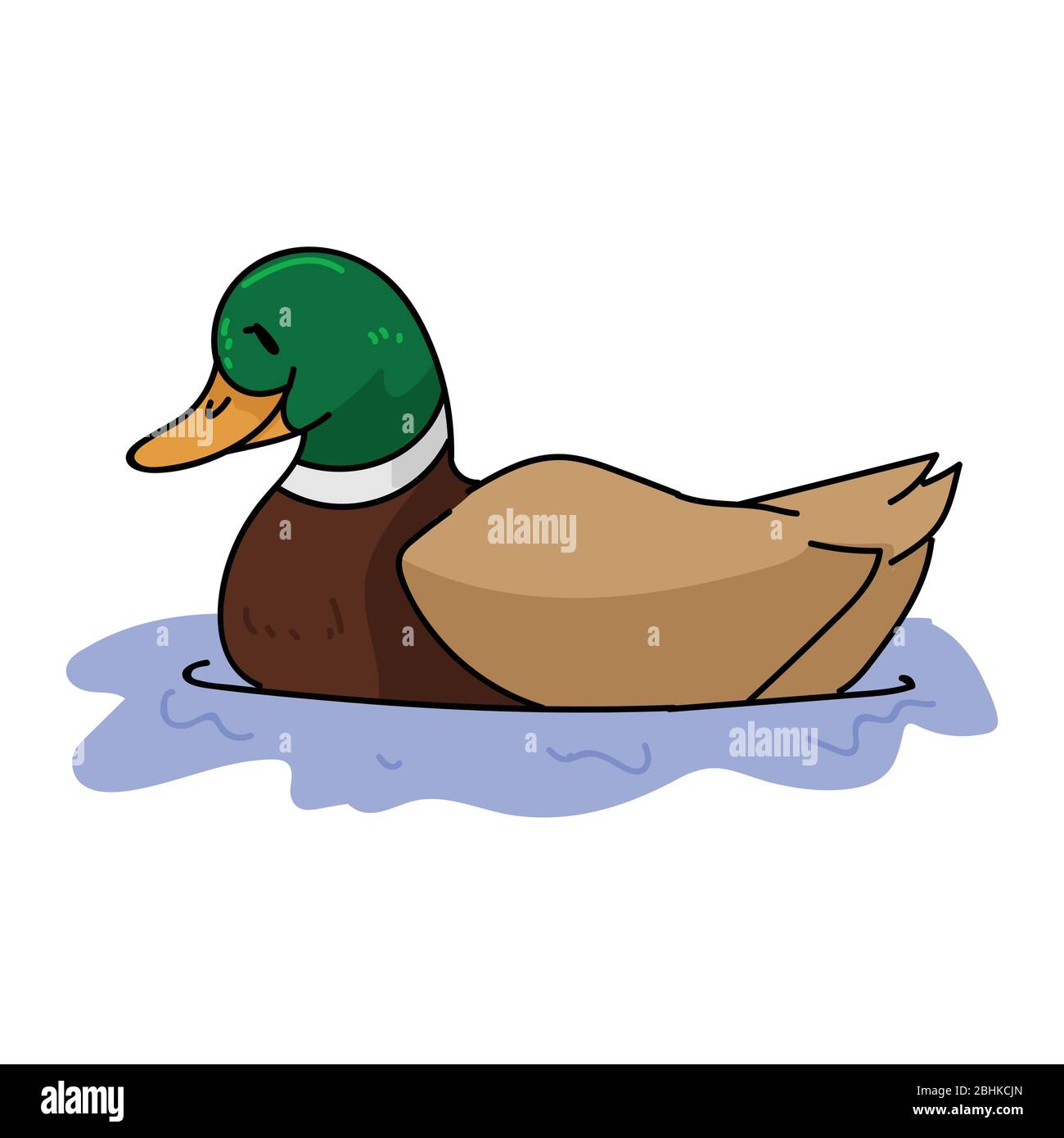 Tierwelt Stockente Stock Vektorgrafiken Kaufen Alamy