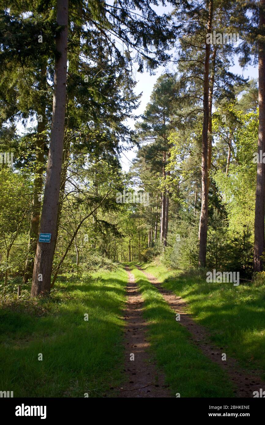 Schild am Baum neben dem Grassrack, Oxfordshire, England Stockfoto