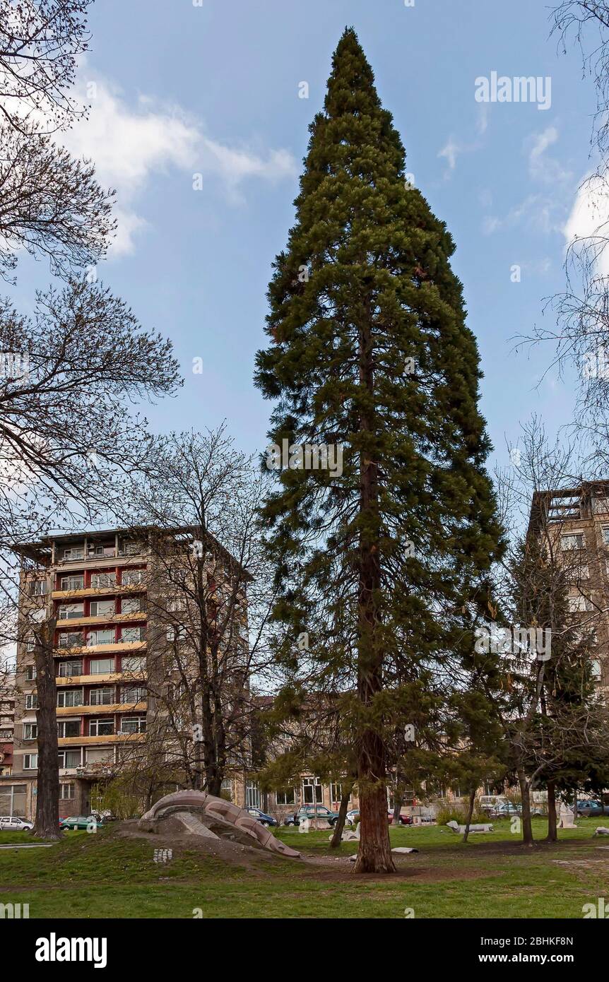 Wohnviertel mit Häusern, Bäumen und Spielplatz in einem öffentlichen Park des 20. Jahrhunderts, Sofia, Bulgarien Stockfoto