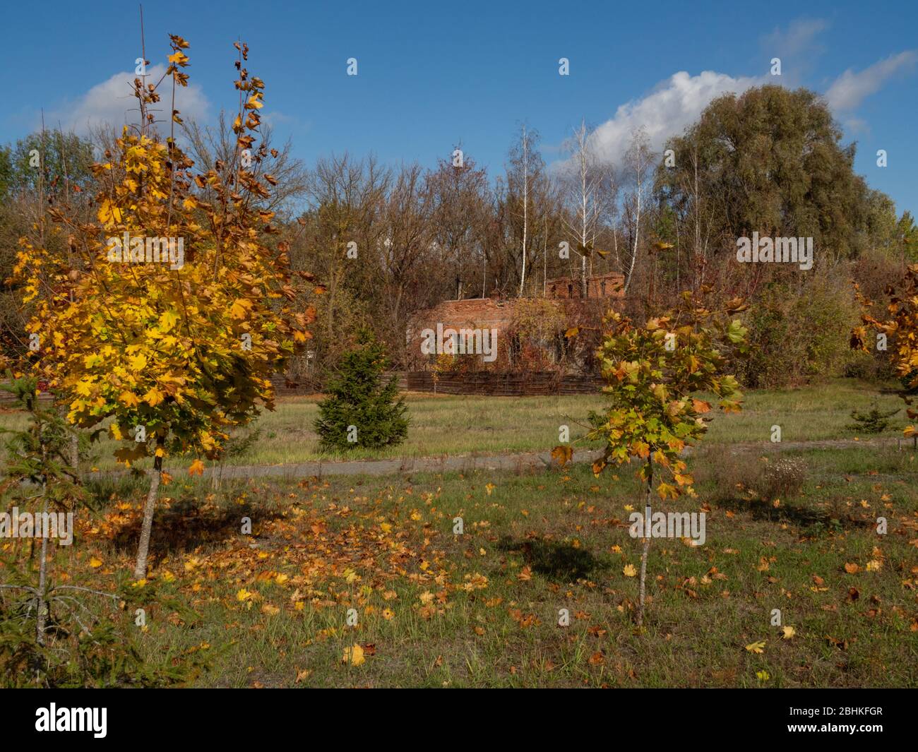 Tschernobyl Ausschlusszone, Park und verlassene Gebäude. Ukraine. Stockfoto