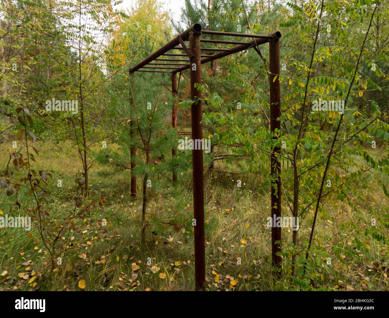 Verlassene Wohngegend von der Natur eingenommen. Tschernobyl-Ausschlusszone. Ukraine Stockfoto
