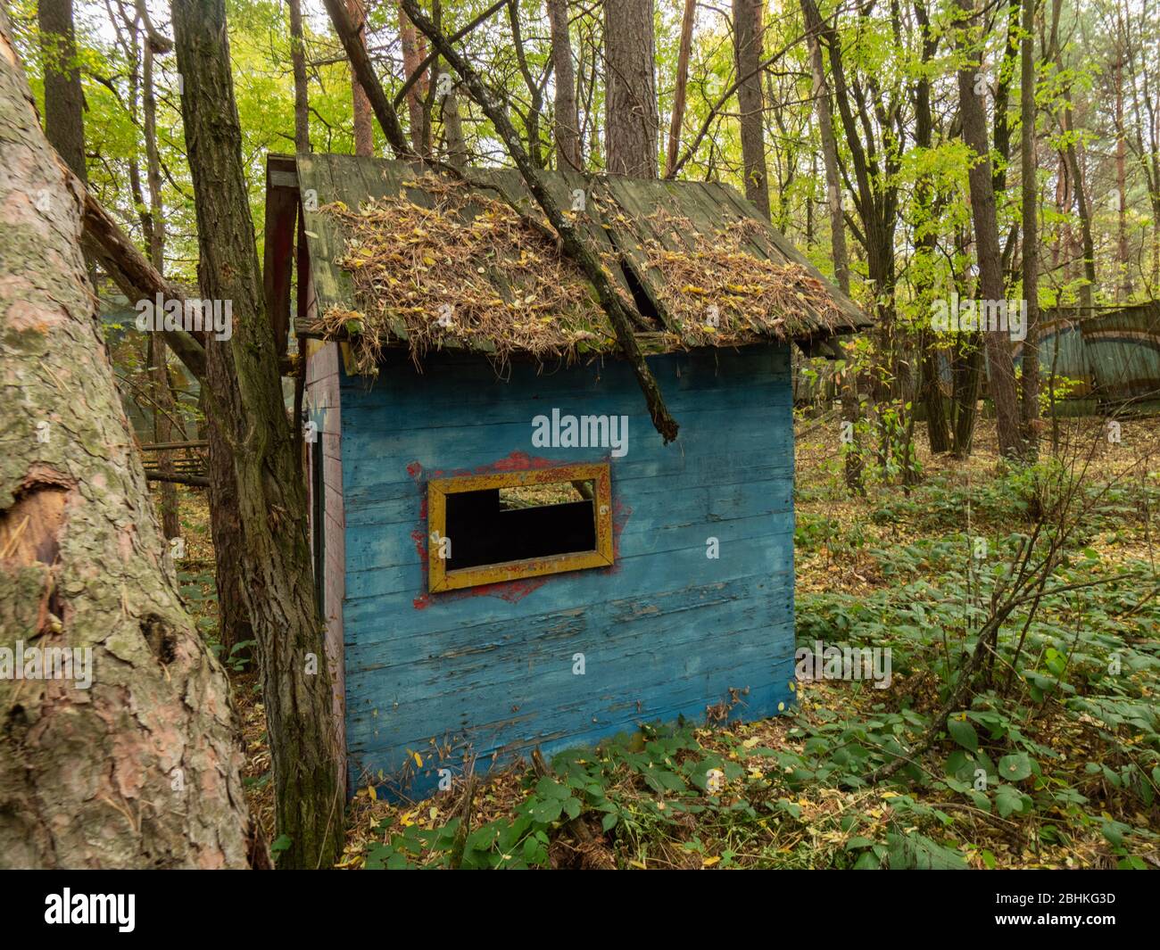 Verlassene Wohngegend von der Natur eingenommen. Tschernobyl-Ausschlusszone. Ukraine Stockfoto