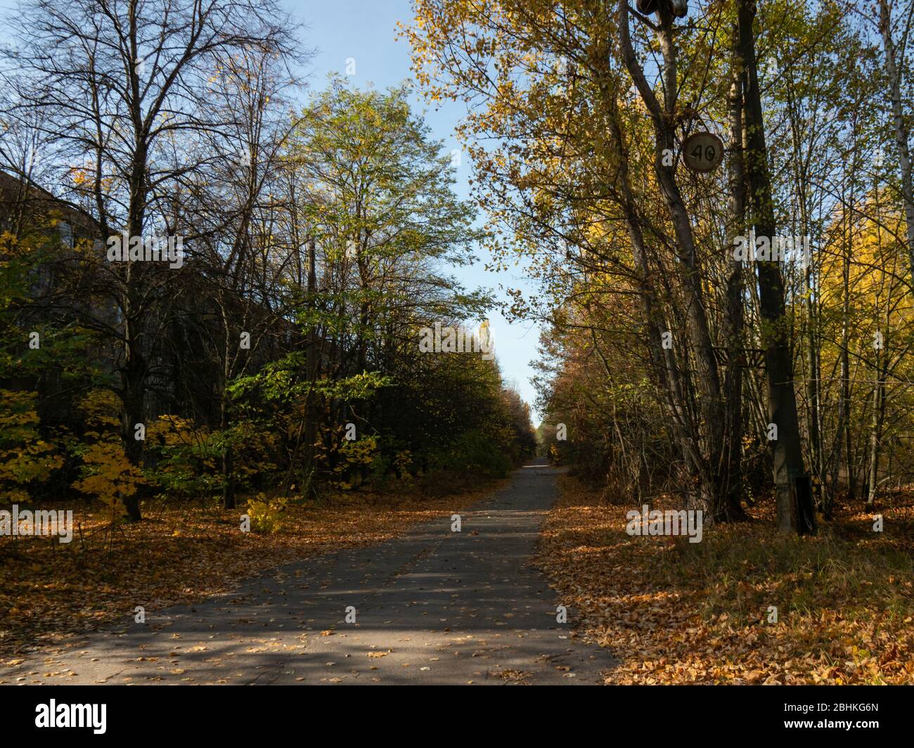 Verlassene Wohngegend und Gebäude. Frühere Straßen und Gassen werden von Bäumen und Büschen eingenommen. Geisterstadt Pripyat, Tschernobyl-Ausschlusszone. Ukr Stockfoto
