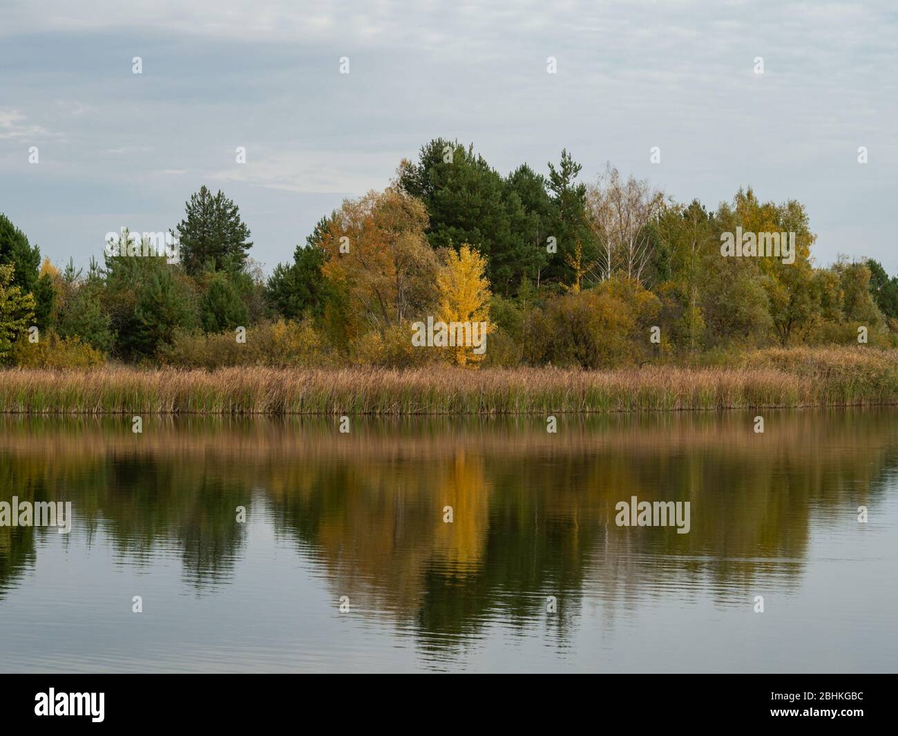 Herbstlandschaft See in Pripyat, Tschernobyl Ausschlusszone in der Ukraine Stockfoto