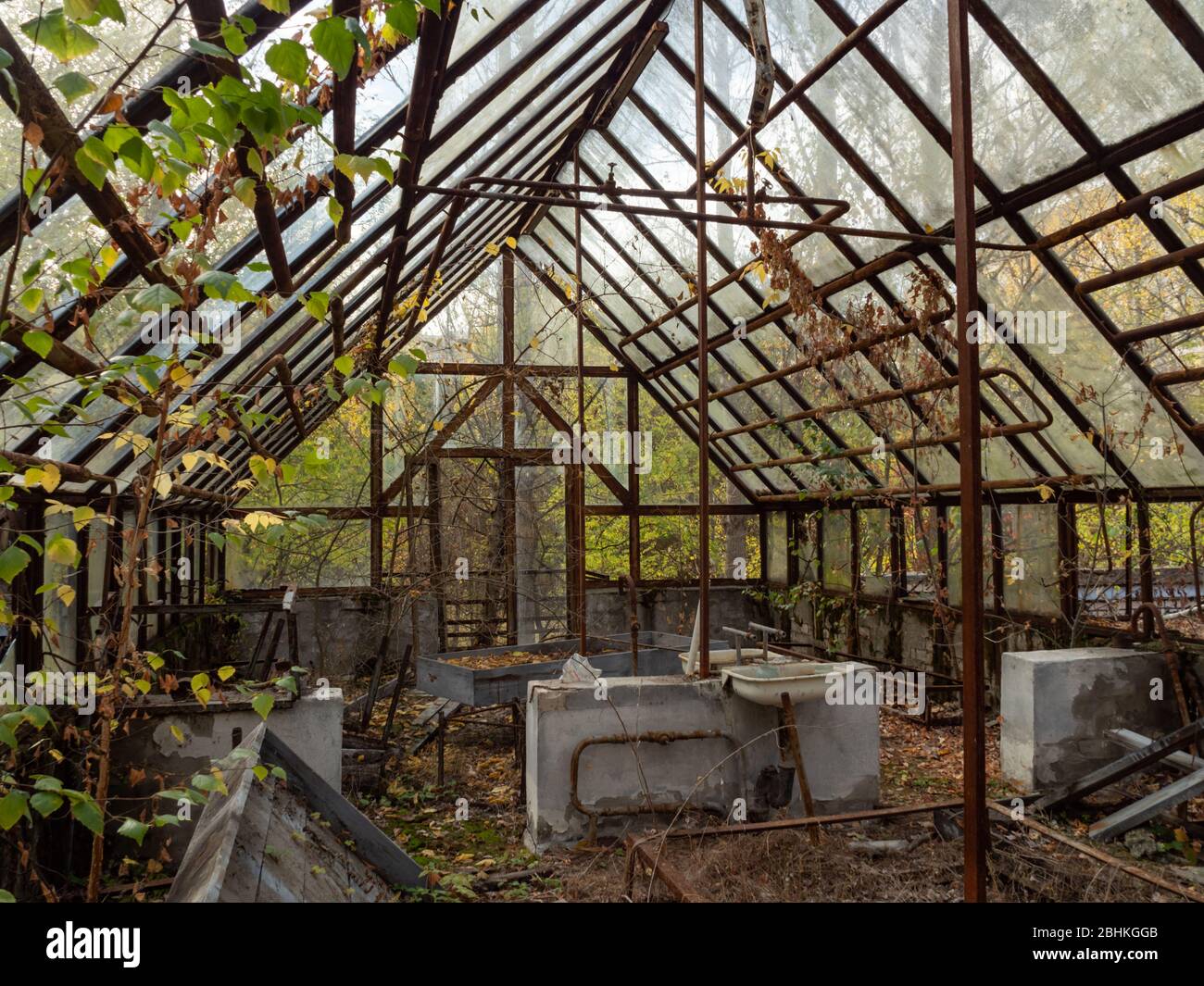 Verfallendes und verlassenes Gewächshaus in der Geisterstadt Pripyat. Tschernobyl-Ausschlusszone. Ukraine Stockfoto