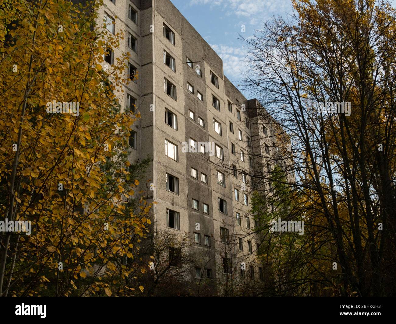 Verlassene Wohngegend und Gebäude. Frühere Straßen und Gassen werden von Bäumen und Büschen eingenommen. Geisterstadt Pripyat, Tschernobyl-Ausschlusszone. Ukr Stockfoto