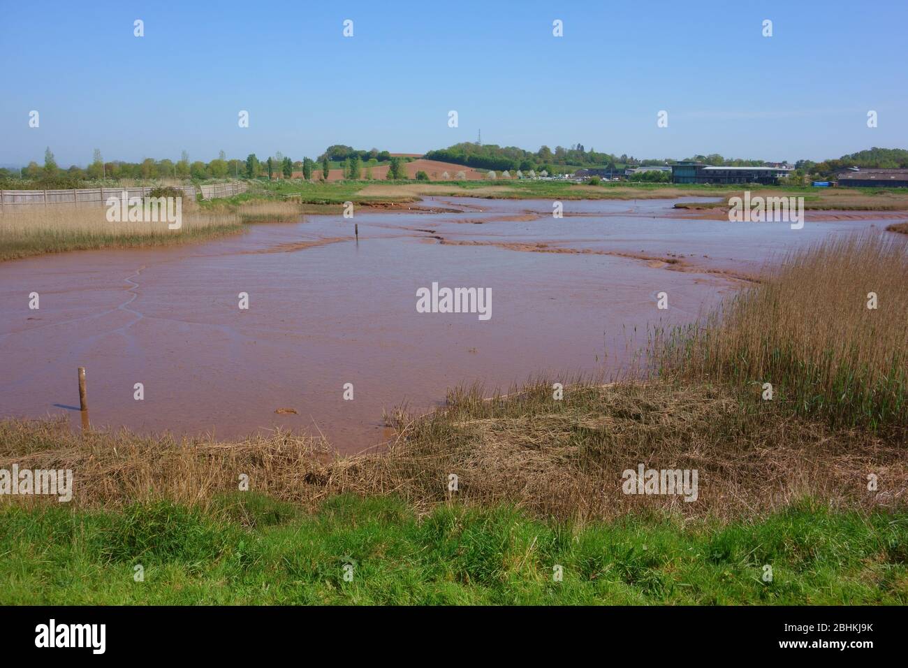 River Clyst bei Topsham, Blick in Richtung Dart's Farm, Devon, England, Großbritannien Stockfoto