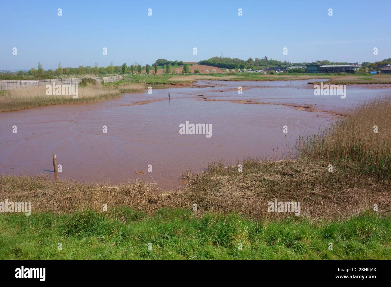 River Clyst bei Topsham, Blick in Richtung Dart's Farm, Devon, England, Großbritannien Stockfoto