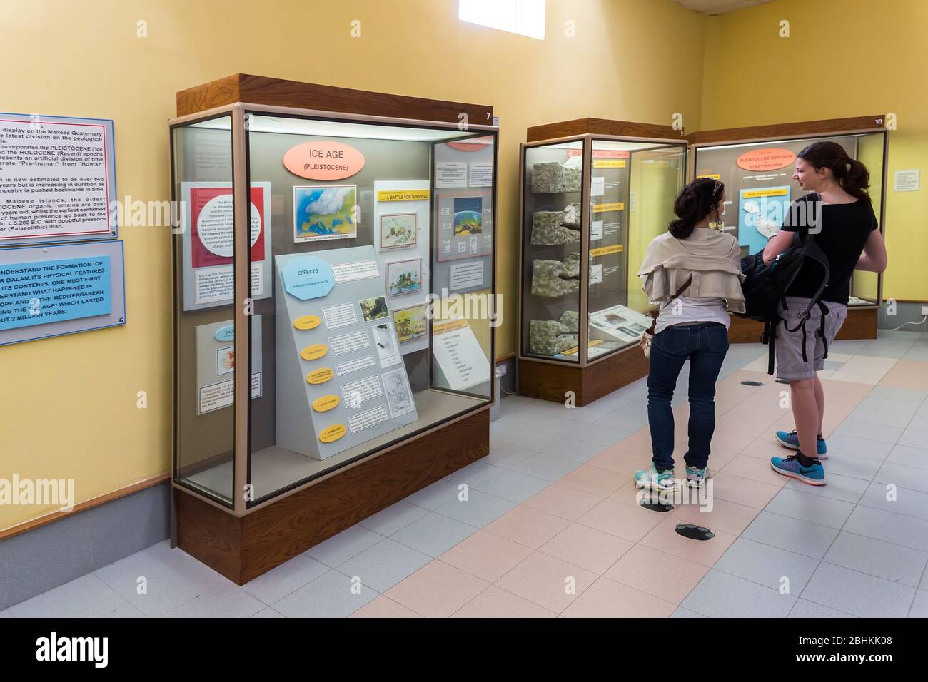 Glasvitrinen im Museum in Ghar Dalam, archäologische Höhle, Malta Stockfoto