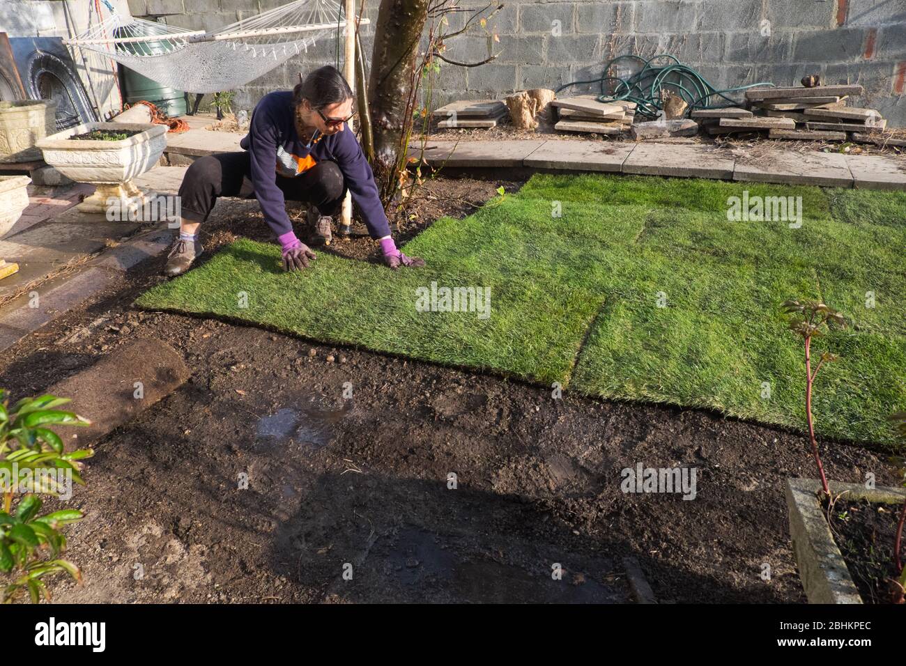 Frau, weiblich, verlegen, Rasen verlegen, Gras legen, Gras, Rasen, in,ihr, Garten,Ceredigion,Wales,Walisisch,Dorf,Land,Großbritannien,Gartenarbeit,hat,geworden,ein,beliebt,zu Hause bleiben,während,Sperren,Coronavirus,Covid 19,Covid-19,Pandemie,Krise,Aktivität,zu halten,der Geist,aktiv,und zu tun,Garten,Selbstbewässern,Garten,Isolierung,Garten,Garten,Selbstbewässern,Garten,Garten,Selbstbewässern,Garten,Garten,Garten,Selbstbewässern,Garten,Garten,Garten,Garten,Garten,Garten,Garten,Garten,Selbstbewässern,Garten,Aktivität,Garten,Garten,Garten,Garten,Garten,Garten,zu verschließen,Garten,Garten,Garten,zu verschließen,Garten,Garten,Garten,Garten,Garten,Garten,Garten,Aktivität Stockfoto