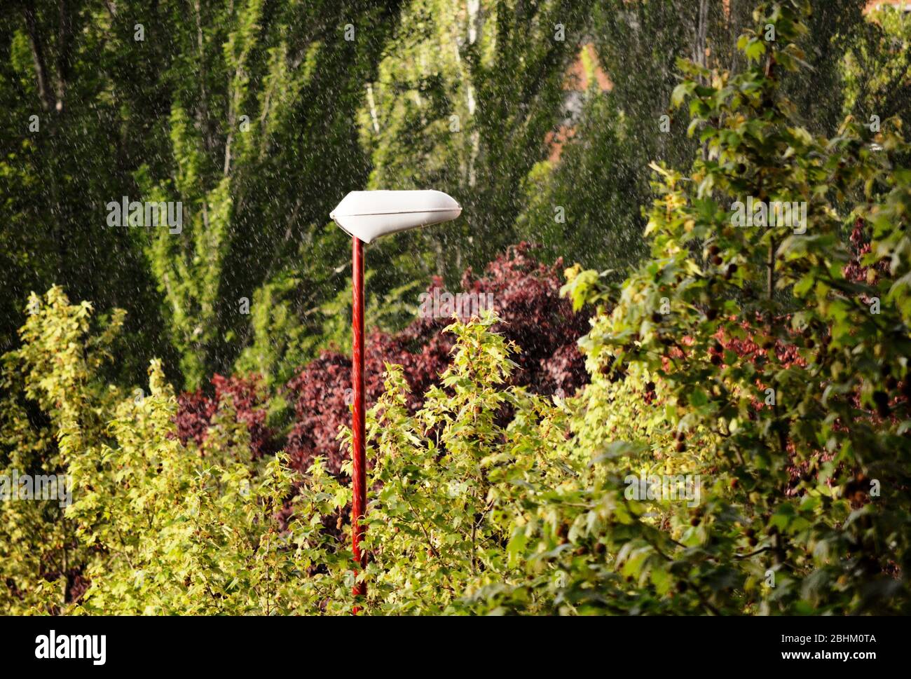 Ein Lampenposten in einem Park regnet Stockfoto