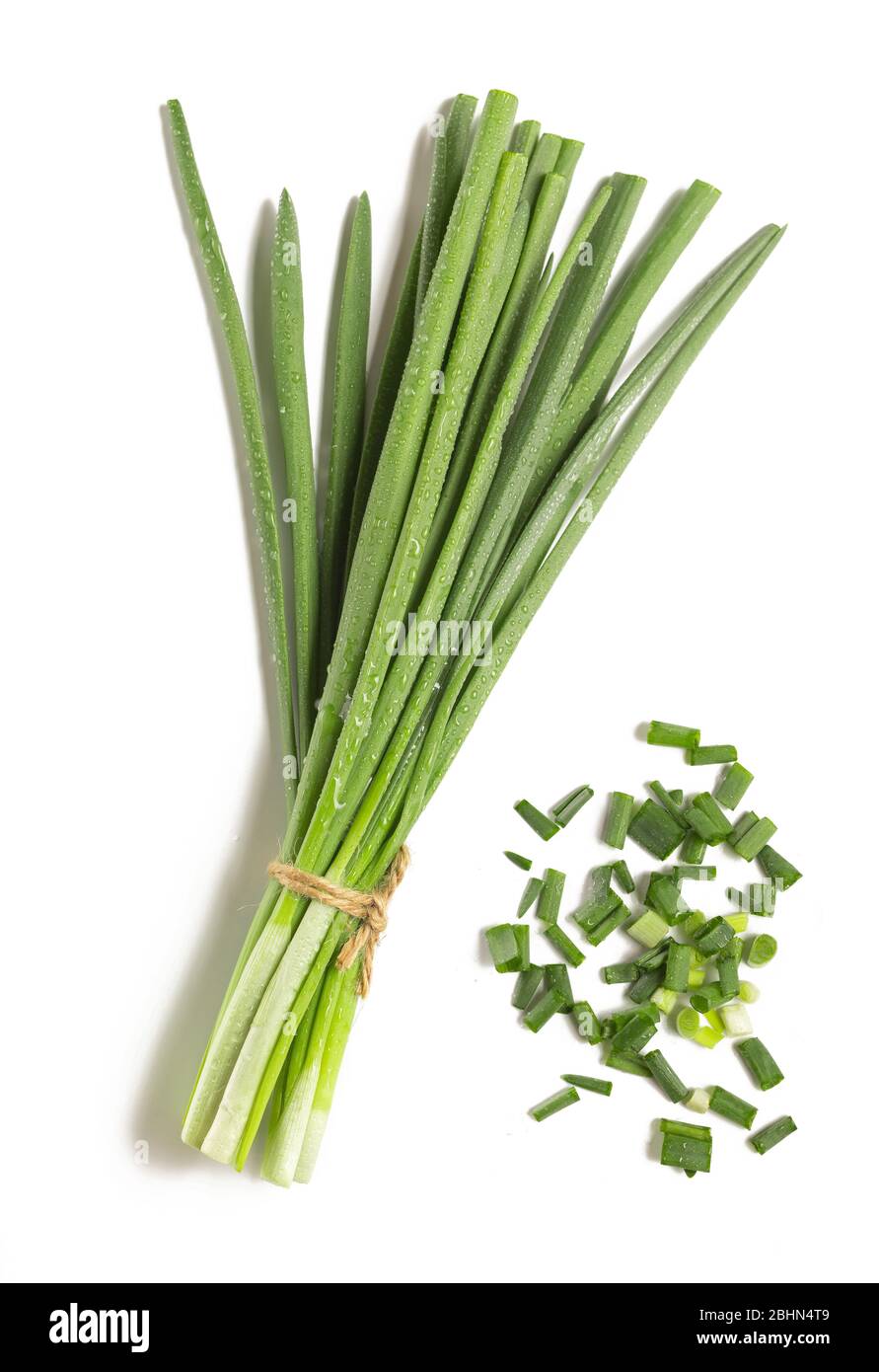 Schnittstängel, schlanke Blätter, Bilder Fotos, Clipdealer, Frühlingszwiebel, Frühlingszwiebel Stockfoto