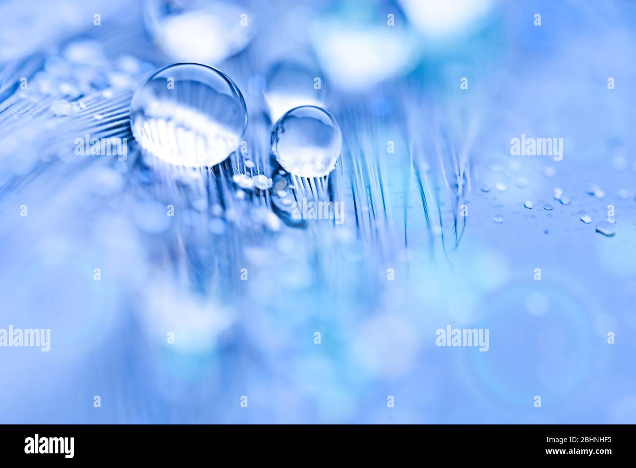 Schöne Wassertropfen auf die Feder. Makro. Wunderschönes weiches Licht blau und violett unterlegt. Selektive konzentrieren. Hintergrund mit kopieren. Stockfoto