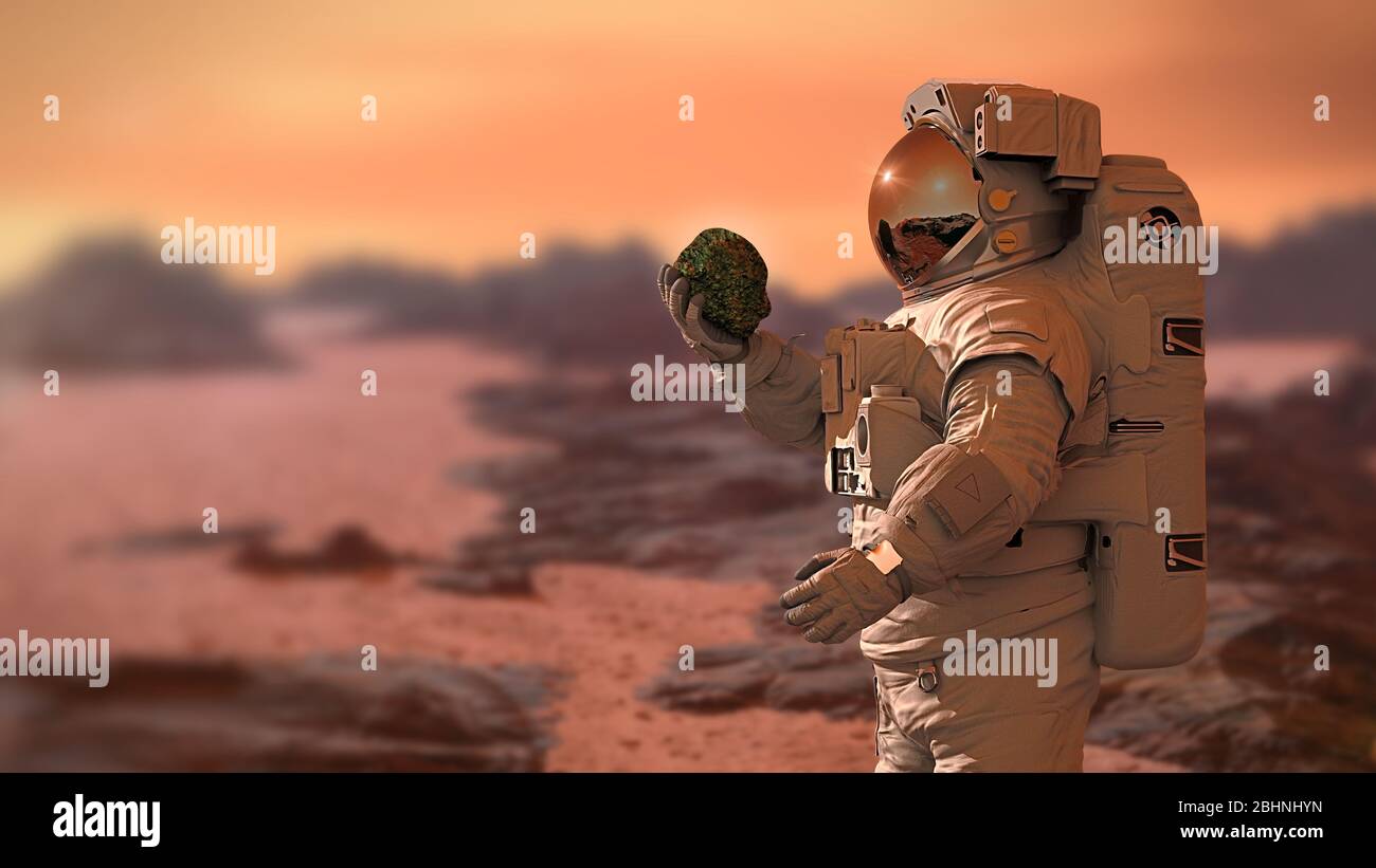 Das Leben auf dem Planeten Mars, Astronaut entdeckt Bakterien leben auf der Oberfläche von einem Felsen Stockfoto