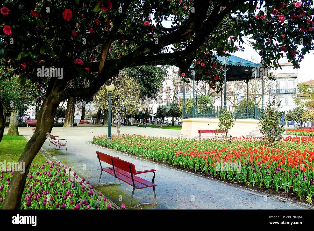 Blühender Park an einem sonnigen Tag mit blühenden Tulpen und Kamelien, Lissabon, Portugal Stockfoto