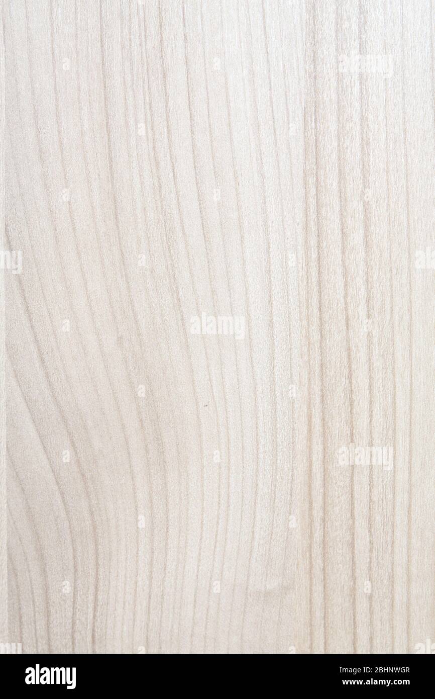 Hohe Auflösung blonde Holzstruktur Stockfoto