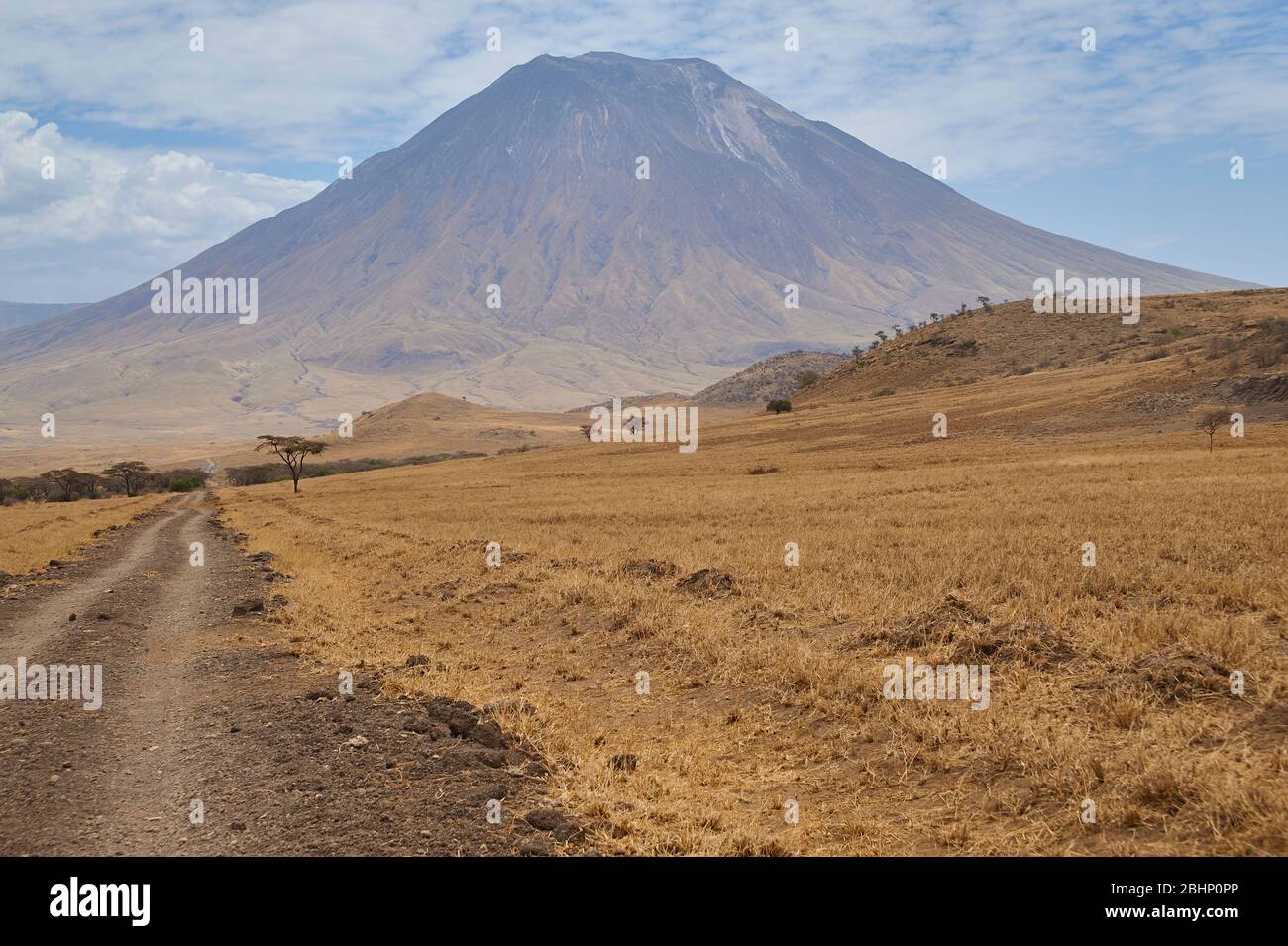 Der Vulkan Oldoinyo Lengai, von der Kitumbeine - Engaresero Straße auf der Gilei Ebene gesehen Stockfoto