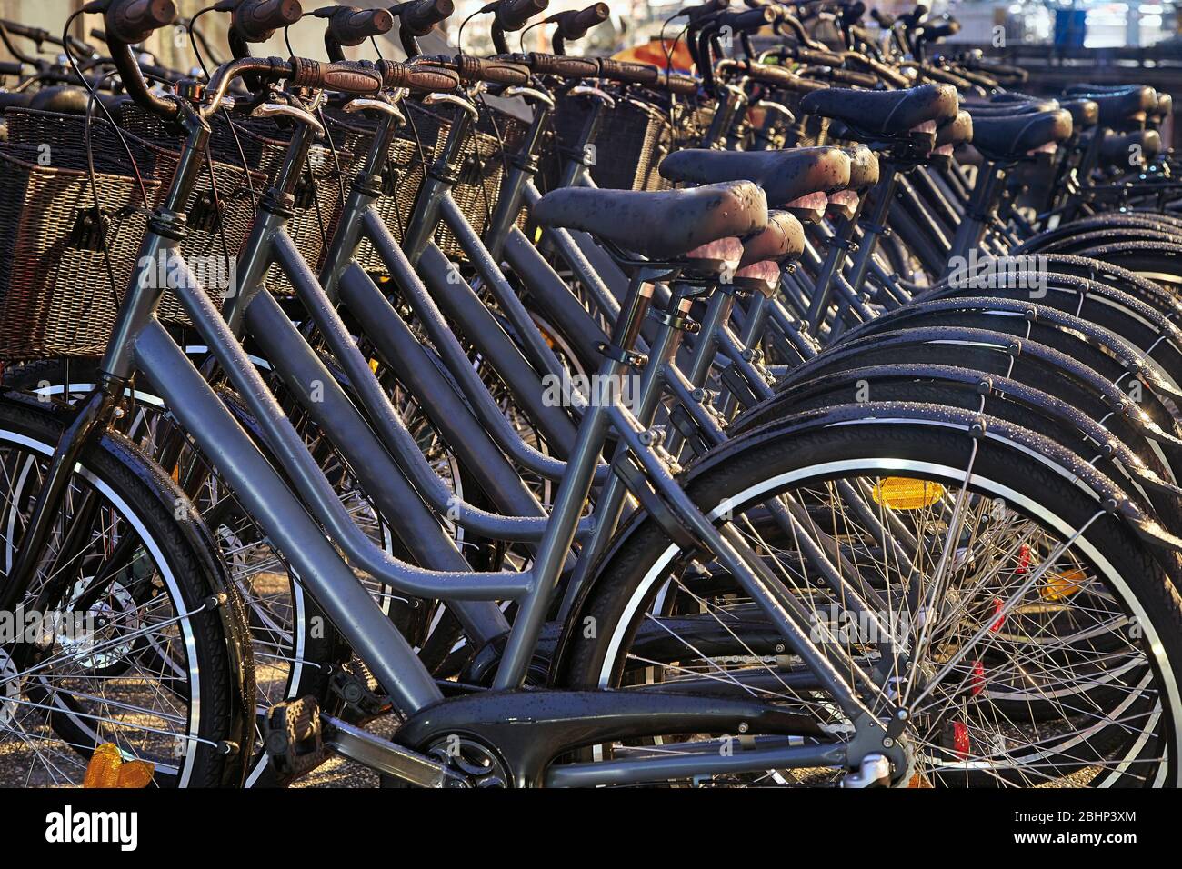 Fahrräder in einer Reihe Stockfoto