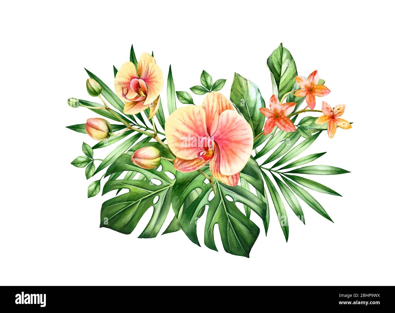 Aquarell Orchidee Bouquet. Große gelbe Blüten und Palme, Monstera Blätter. Handgemalte florale tropischen Hintergrund. Botanische Illustrationen isoliert auf Stockfoto