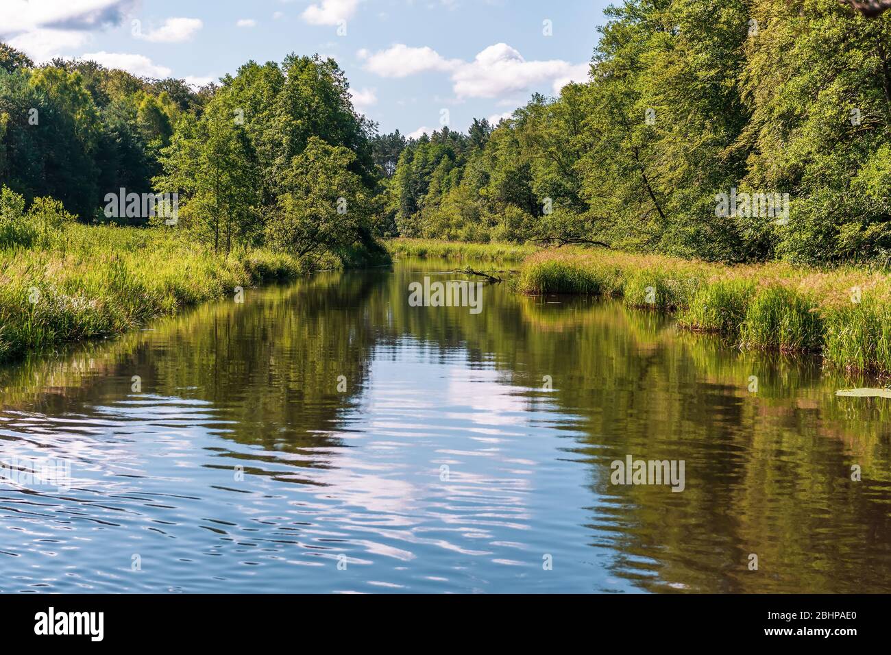 Wald Fluss Wasser Reflexion Landschaft. Kajak und Waldtourismus Stockfoto