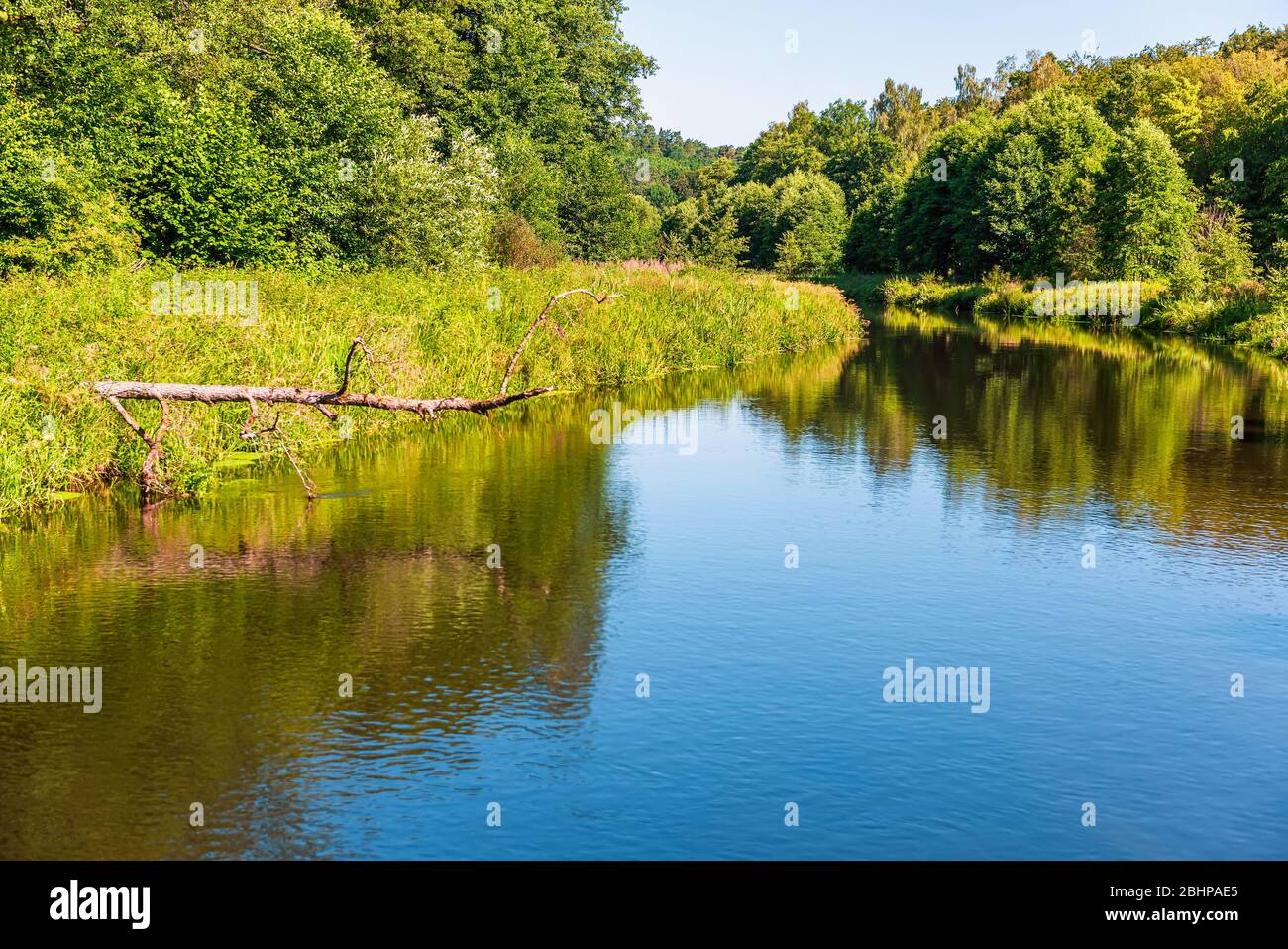 Wald Fluss Wasser Reflexion Landschaft. Kajak und Waldtourismus Stockfoto
