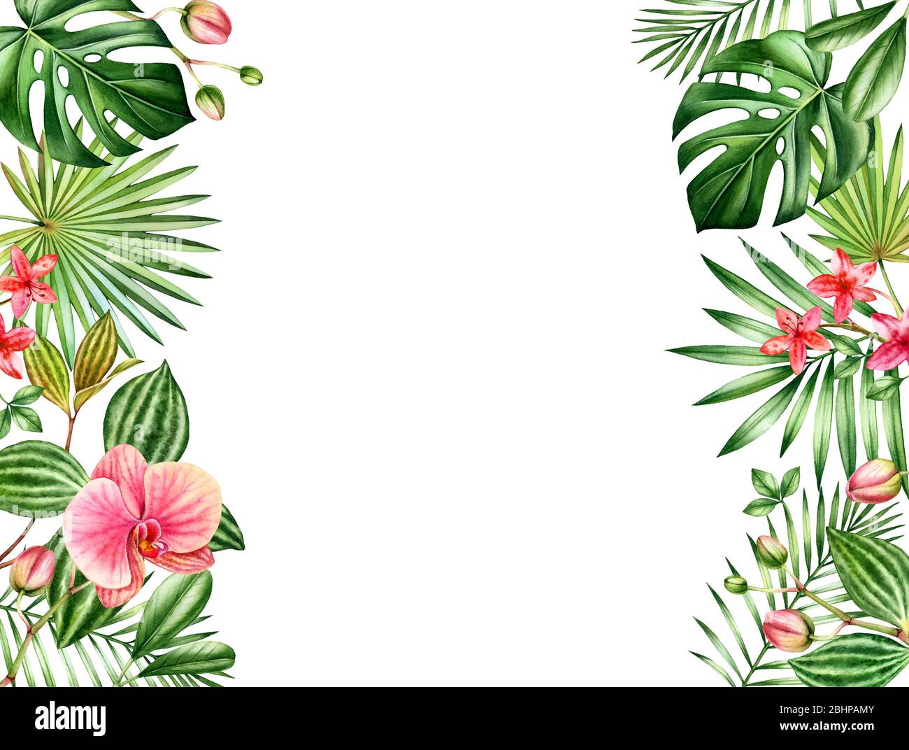 Aquarell floralen Hintergrund. Horizontaler Rahmen mit Platz für Text. Blumenrandumrandungen an den Seiten. Rote Orchideenblüten und Palme, Monstera Blätter Stockfoto