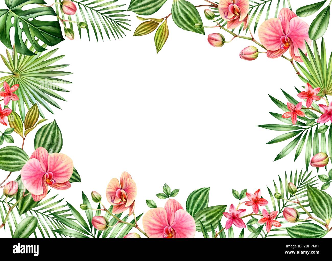 Aquarell floralen Hintergrund. Horizontaler Rahmen mit Platz für Text. Orange Orchideenblüten und Palmblätter. Handbemaltes tropisches Banner. Botanisch Stockfoto