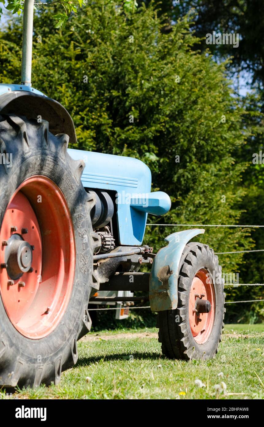 Eicher Mammut Dieseltraktor, alter klassischer OldtimerTraktor in der