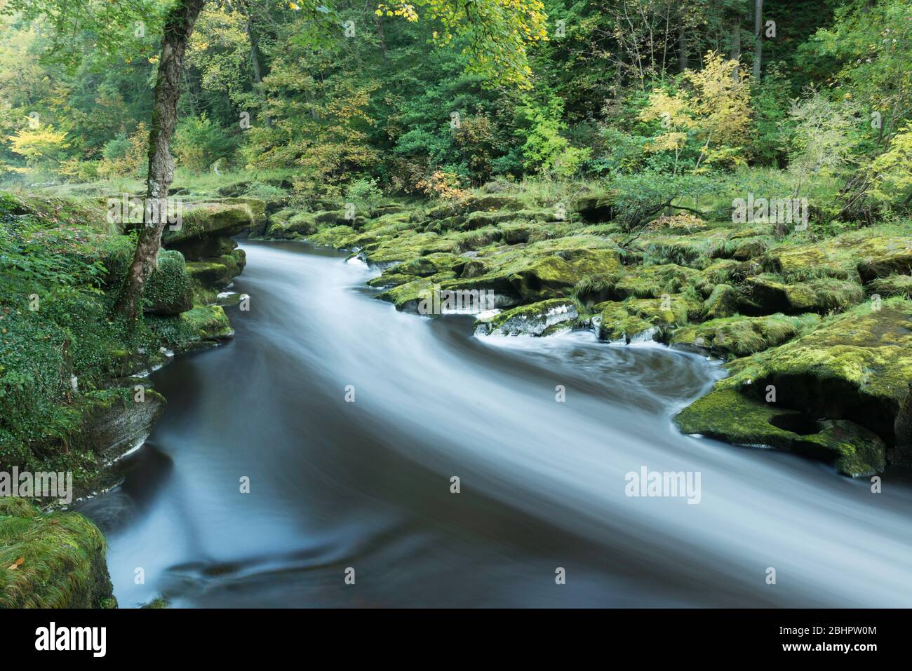 Die Strid am Fluss Wharfe in Wharfedale, North Yorkshire Stockfoto