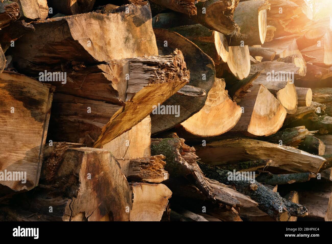 Außenaufnahme eines gestapelten Holzstapels, der von schönen warmen Sonnenstrahlen beleuchtet wird, mit angenehmen Farben und Tiefe Stockfoto