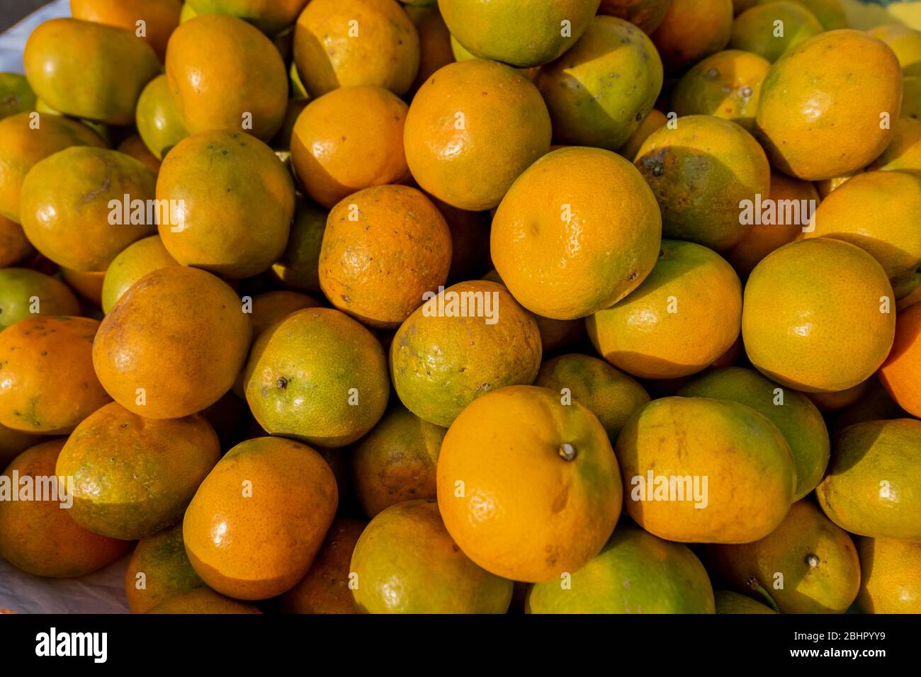 Ein Haufen alter Orangen zum Verkauf in der Abendsonne Stockfoto