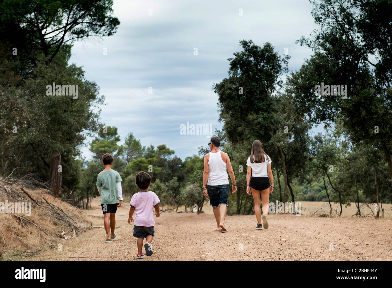 Rückansicht der Familie mit zwei Kindern, die auf einem Feldweg durch einen Wald laufen. Stockfoto