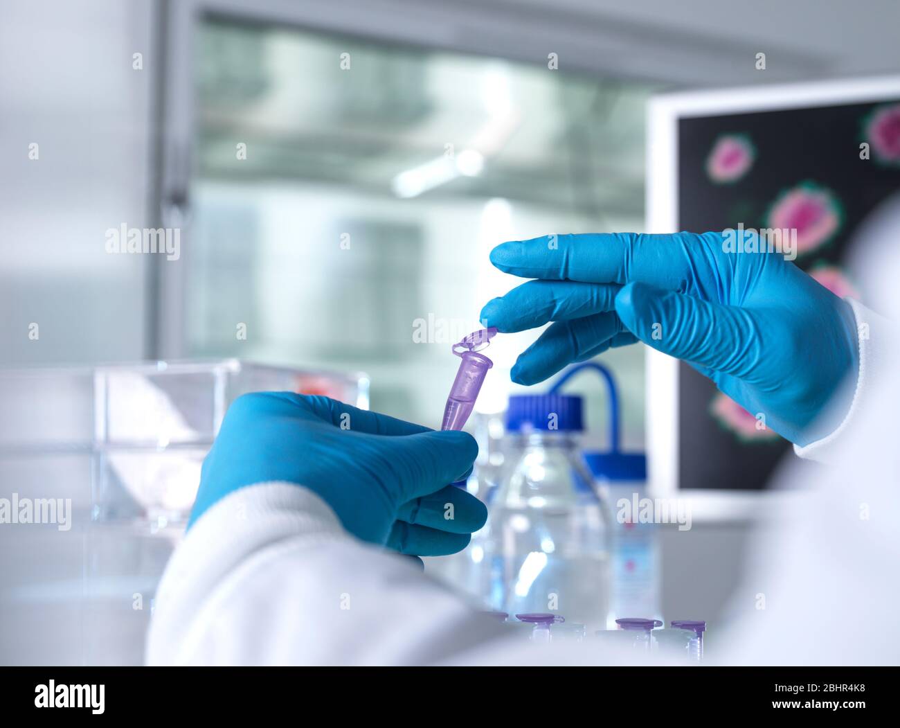 Pharmazeutische Forschung, Wissenschaftler Vorbereitung einer Probenflasche für analytische Tests im Labor in DNA, Medizin und Pharmakologie Forschung verwendet. Stockfoto