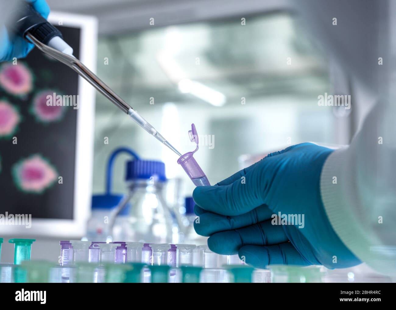 Pharmaforschung, Wissenschaftler Vorbereitung einer Probenflasche für analytische Tests im Labor in der DNA-, Medizin- und Pharmakologie-Forschung verwendet. Stockfoto