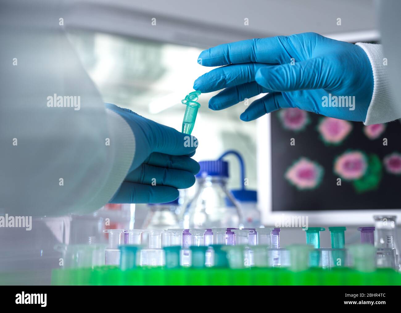 Pharmaforschung, Wissenschaftler Vorbereitung einer Probenflasche für analytische Tests im Labor in der DNA-, Medizin- und Pharmakologie-Forschung verwendet. Stockfoto