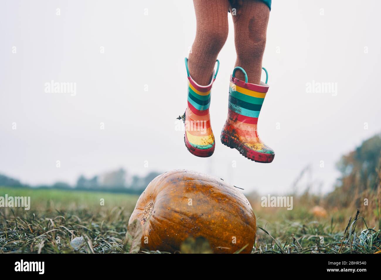 Die Füße eines Kindes in streifigen Gummistiefeln springen über einen Kürbis auf einem Feld. Stockfoto
