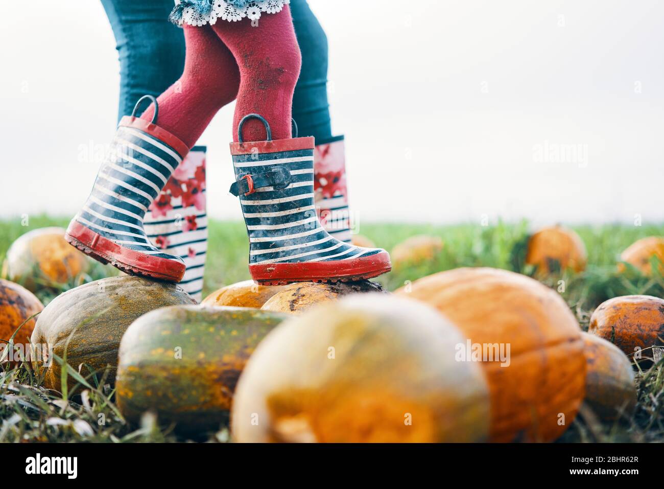 Zwei Paar gestreifte wellington Stiefel in einem Kürbisfeld, die Kinderstiefel auf Kürbissen laufen. Stockfoto
