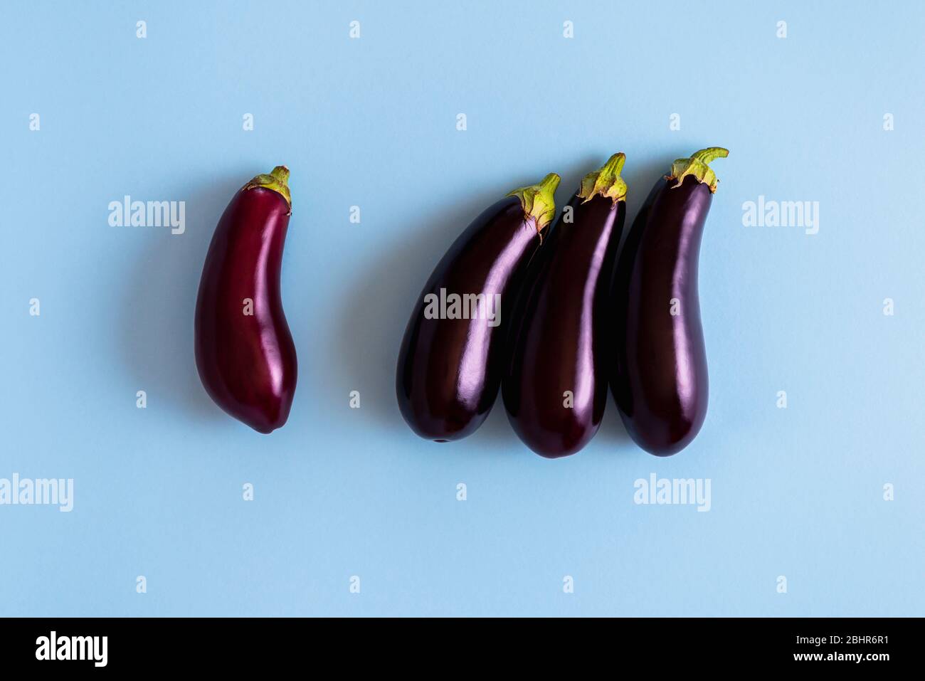 Organische Auberginen auf einem blauen Tisch ausgerichtet, oben. Frisches violettes Gemüse Draufsicht. Vier Auberginen auf einem blauen Tisch Ansicht angeordnet. Stockfoto
