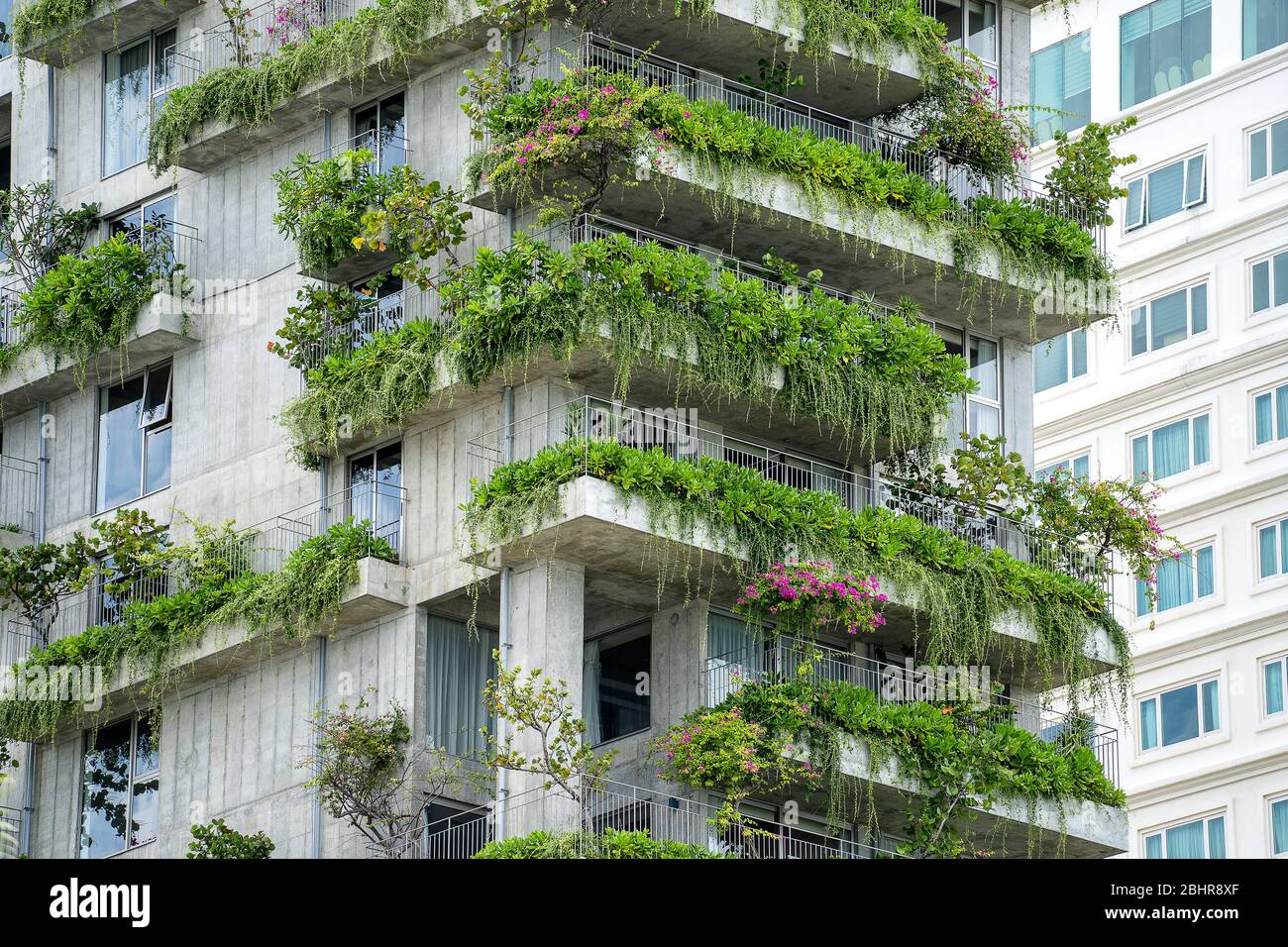 Ökologische Gebäude Fassade mit grünen Pflanzen und Blumen auf der Steinmauer der Fassade des Hauses auf der Straße von Danang Stadt in Vietnam Stockfoto