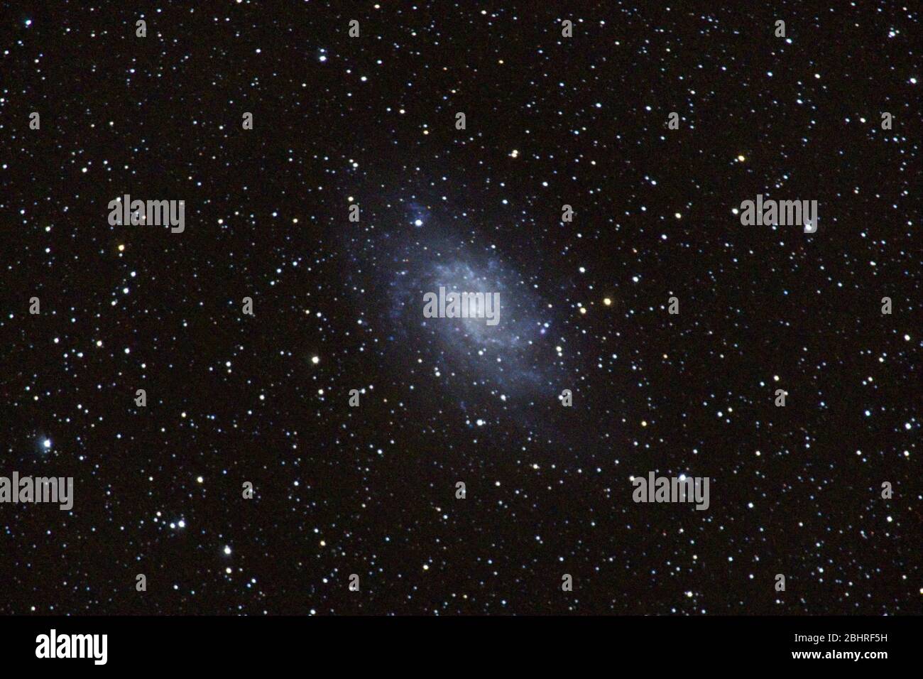 Triangulum Galaxie M33 mit Nebel, offenem Cluster, Kugelsternhaufen, Sternen und Raumstaub Stockfoto