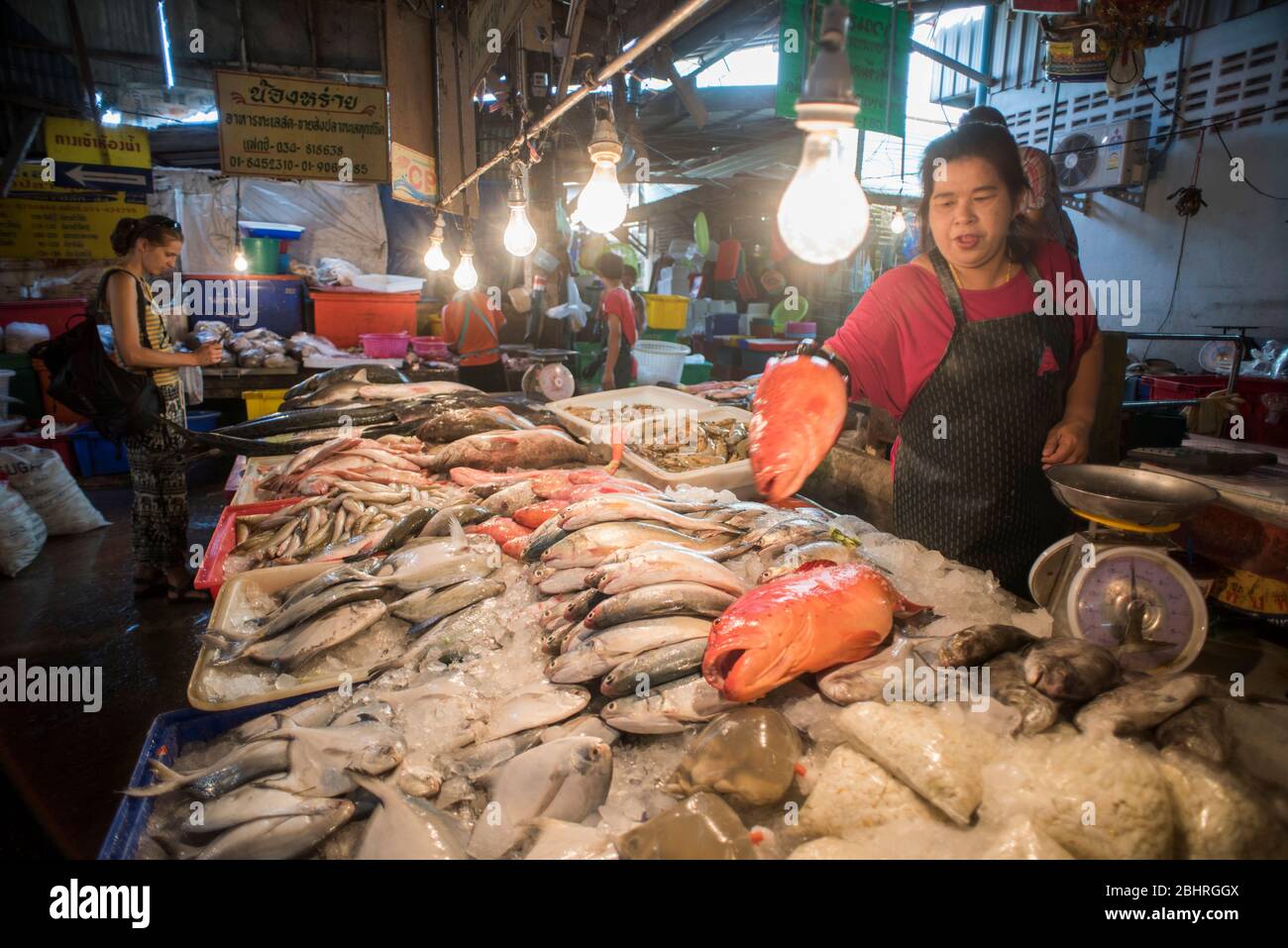 Fischgeschäft auf dem Samut Sakhon Markt, Bangkok, Thailand. Stockfoto