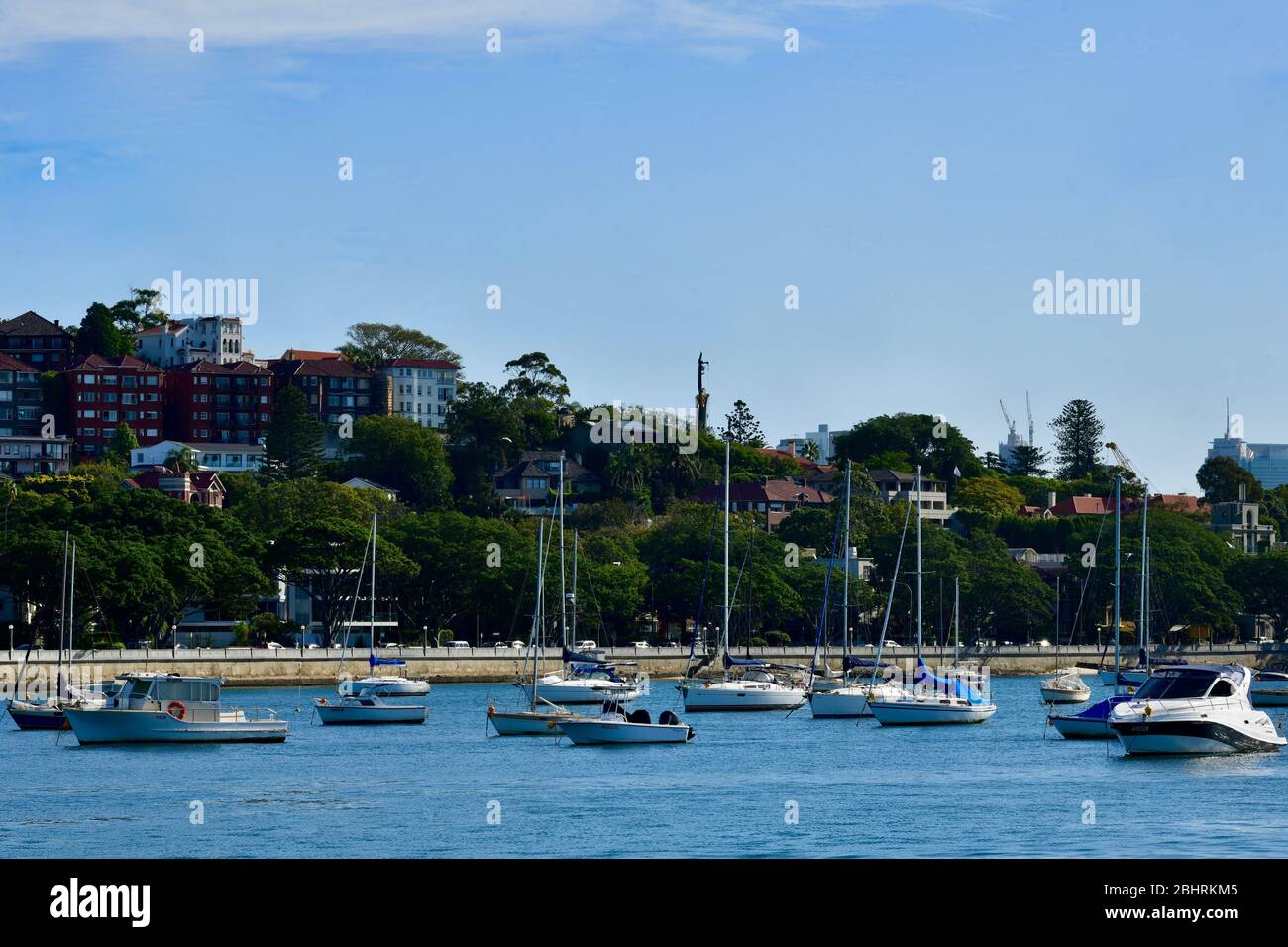 Boote, die in der Rose Bay in Sydney, Australien, festgemacht sind Stockfoto