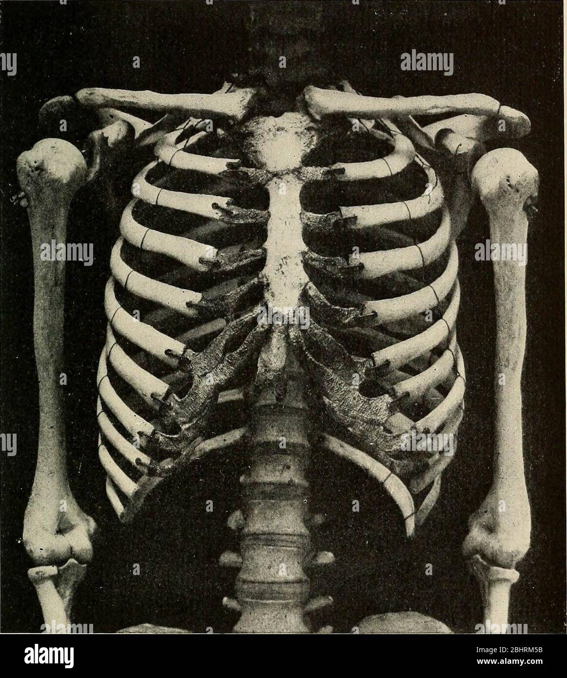 'Das Problem von Alter, Wachstum und Tod; eine Studie zur Zytomorphose, basierend auf Vorlesungen am Lowell Institute, März 1907' (1908) Stockfoto